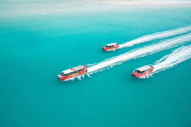 Whitehaven Beach and Hill Inlet Lookout Snorkeling Cruise - Two snorkeling stops bring the reef close