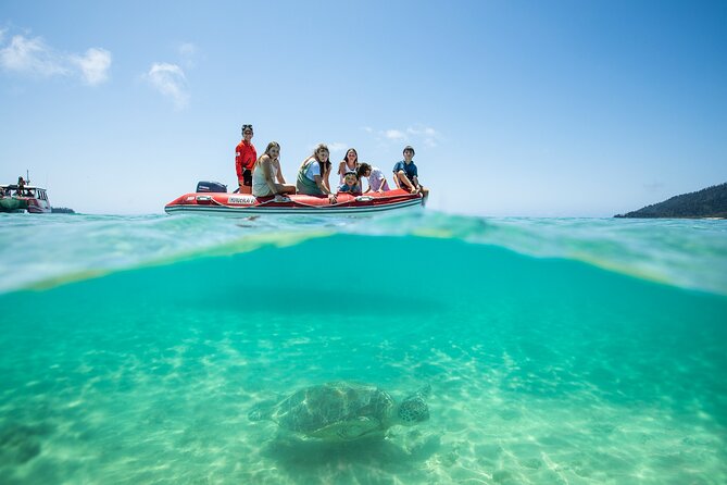 Whitehaven Beach and Hill Inlet Lookout Snorkeling Cruise - What the $164.97 price really covers