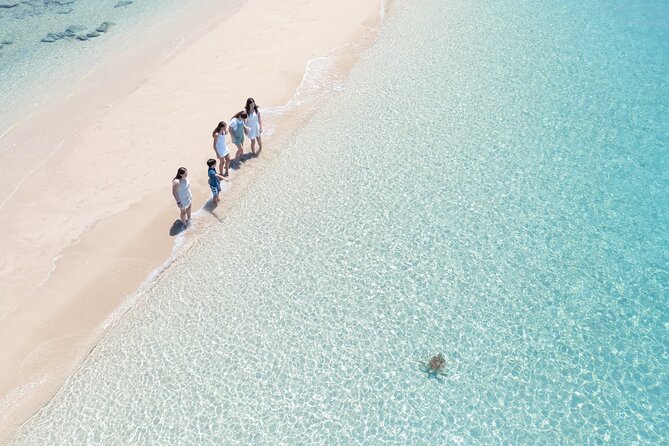 Whitehaven Beach and Hill Inlet Lookout Snorkeling Cruise - Timing, meeting point, and cancellation basics