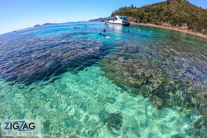Whitehaven Beach Tour: 2 Options - All Day Beach Or Snorkel - Service that makes a large boat feel personal