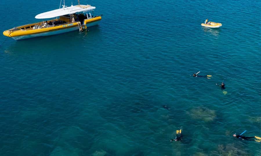Whitsunday: Whitsunday Islands Tour with Snorkeling & Lunch - Whitehaven Beach and a surprisingly useful picnic