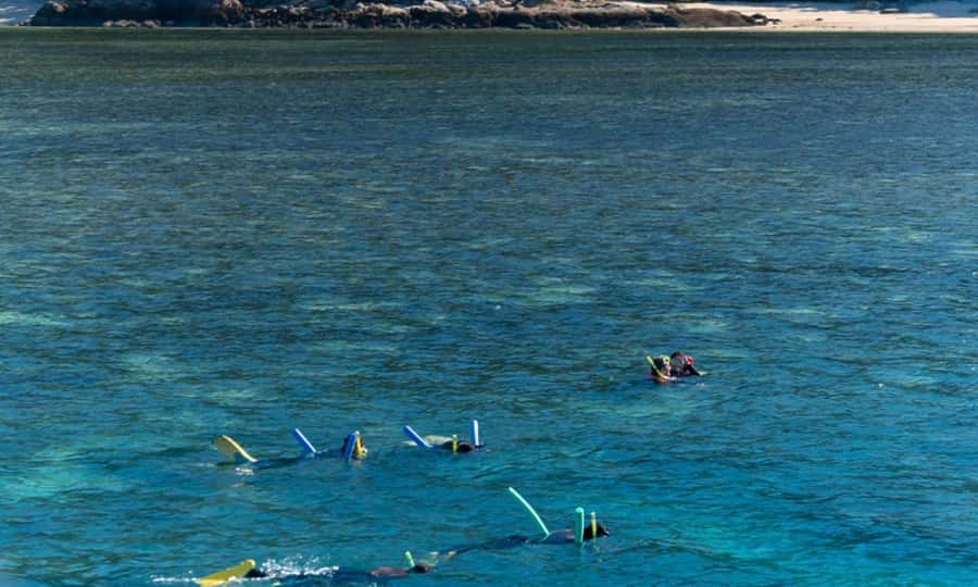 Whitsunday: Whitsunday Islands Tour with Snorkeling & Lunch - Wildlife, weather, and the luck factor