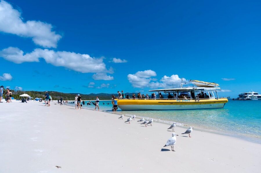 Whitsunday: Whitsunday Islands Tour with Snorkeling & Lunch - The crew and the feel of the day