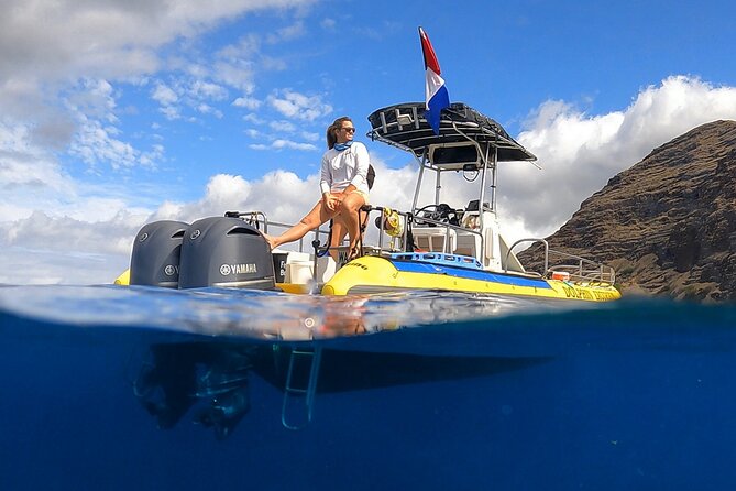 Wild Dolphin Watching and Snorkel Safari Off West Coast of Oahu - Key points before you book
