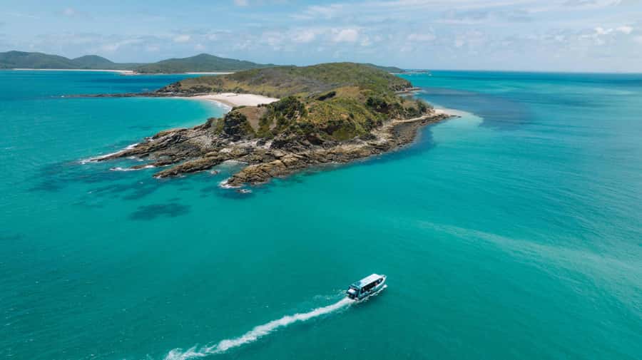 Yeppoon: Great Keppel Island Fast Boat Snorkel & Lunch Tour - Snorkeling around Great Keppel Island
