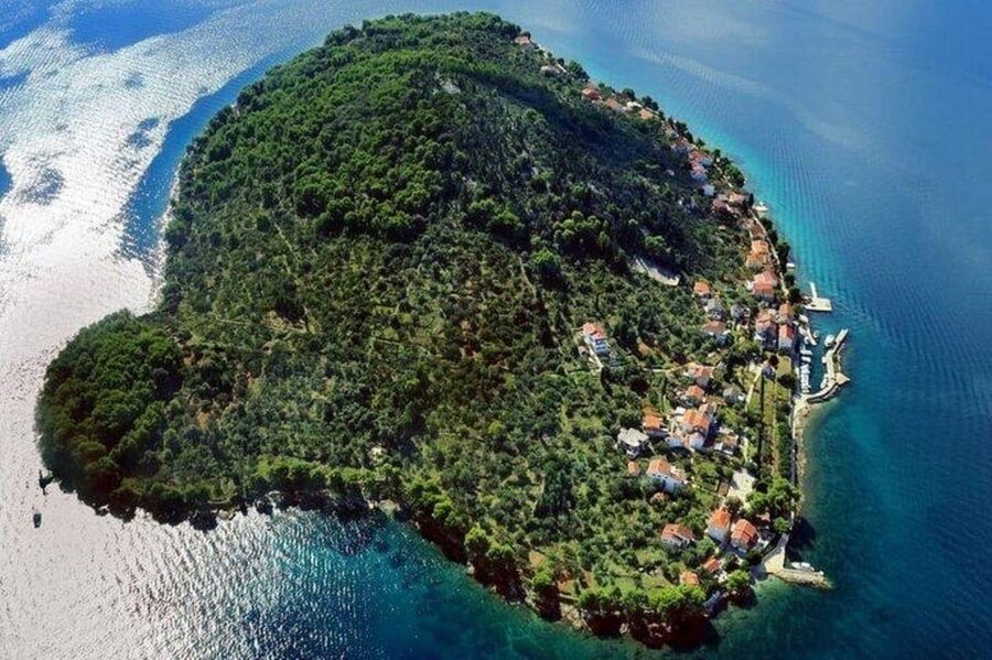 Zadar: 3 Islands SpeedBoat Tour with Snorkeling and Drinks - Stop three: Preko, coffee, shops, and a longer break