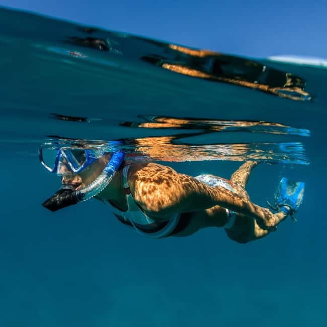 Zadar: 3 Islands SpeedBoat Tour with Snorkeling and Drinks - The speedboat rides and the guides