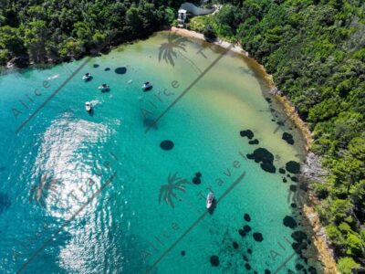 3-Stop Blue Lagoon & Snorkeling Cruise with Drinks
