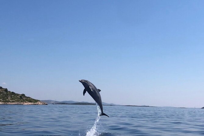 Zadar: Island Luxury Speedboat Tour with Snorkeling - Who should book this tour?