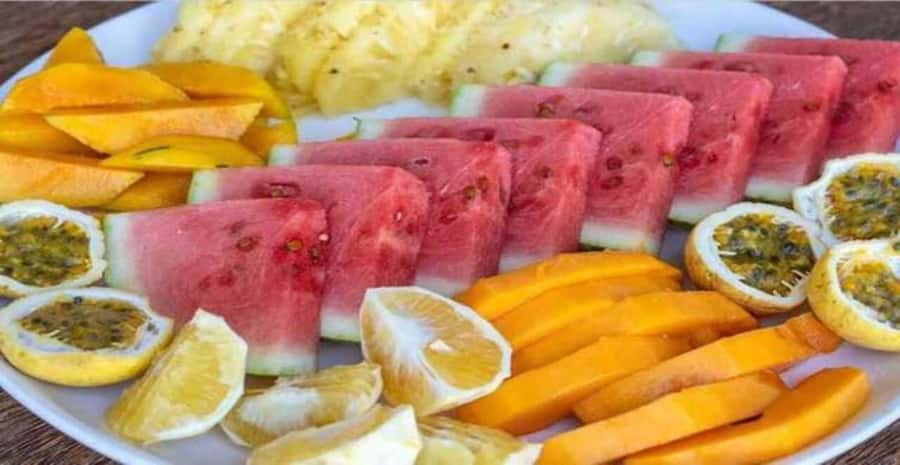 ZANZIBAR : Mnemba Dolphin and Snorkeling Tour - Key points to know before booking