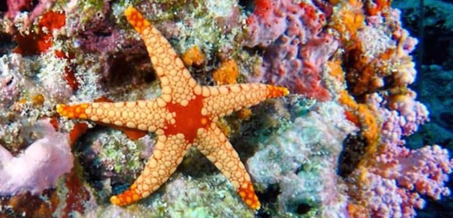 Zanzibar, Salaam Cave Tour, The Rock, Kuza Cave, Paje Beach - Paje Beach and a quieter finish