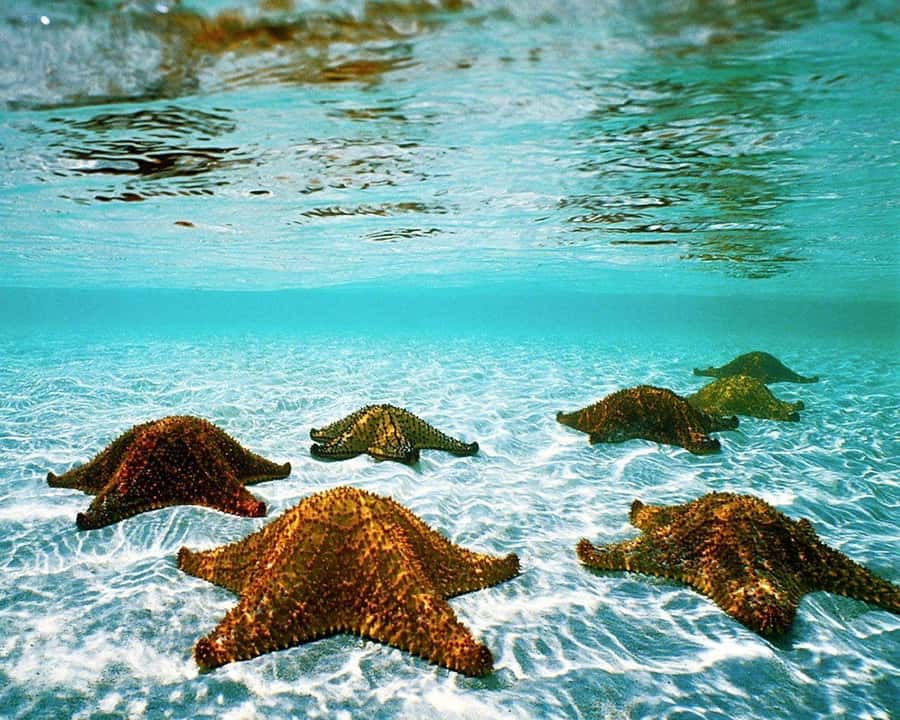 Zanzibar, Salaam Cave Tour, The Rock, Kuza Cave, Paje Beach - What the $150 price really buys